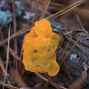 Witches Butter