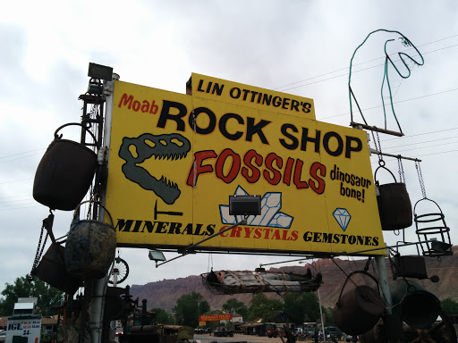 Moab Rock Shop Fossils