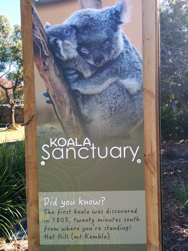 Koala Sanctuary