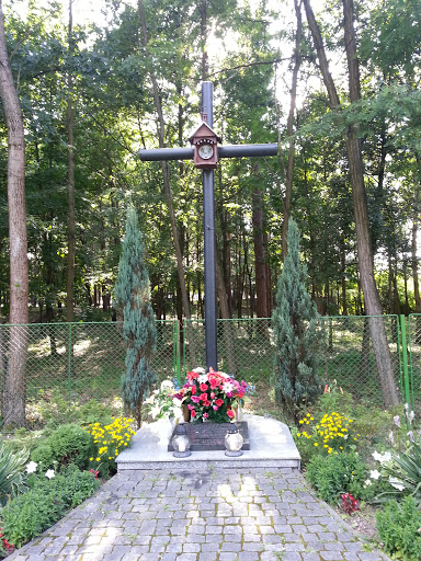 Krzyż przy ul. Rzeszowskiej w Nowej Dębie