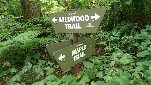 Maple Trail and Wildwood Trail Juncture