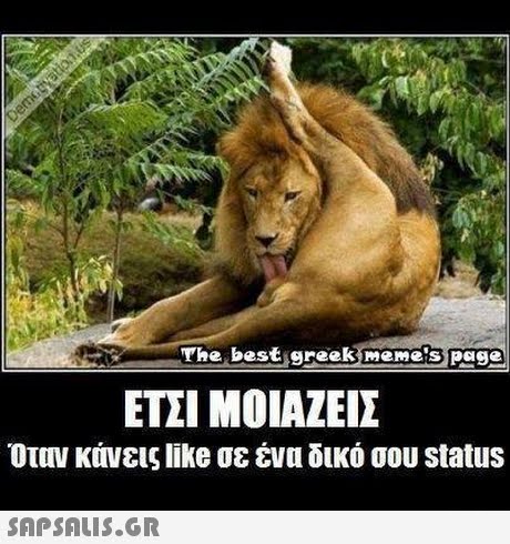 The best greek meme s page ΕΤΣΙ ΜΟΙΑΖΕΙΣ Οταν κάνεις like σε ένα δικό σου status 