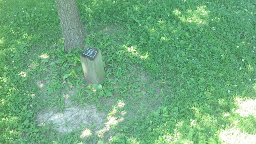 Jinny Howes Memorial Tree