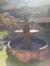 3 Tier Fountain