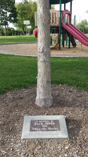 Billy Sharr Memorial Tree