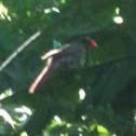 Unnamed spotting