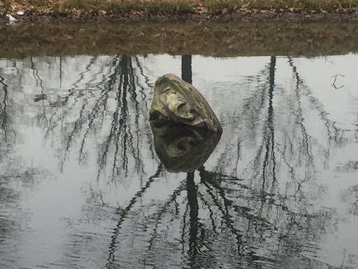 Art in Pond