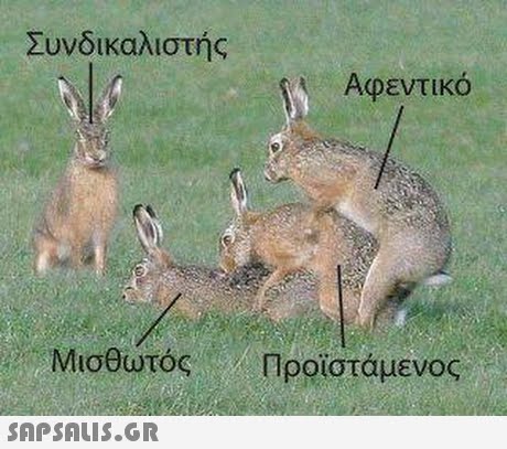 Συνδικαλιστής Αφεντικό ) . Μισθωτός , Προϊστάμενος 