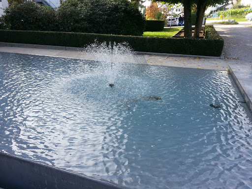 Phonak Fountain