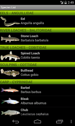 Coarse Fishing Games To Download