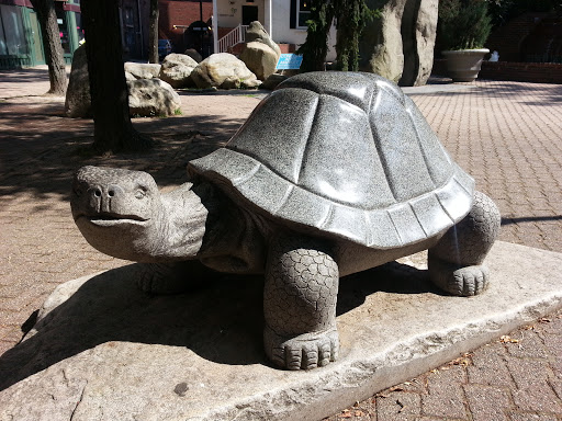 Stone Statue of Tortoise