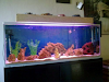 Peceras 200Lt Equipada En Buen Precio