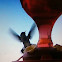 Ruby Throated Hummingbird