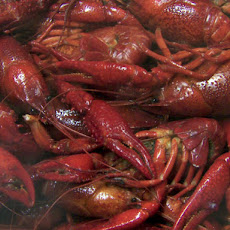 Boiled Crawfish