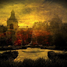 by Jay Goldman - Mobile Photos iPhone