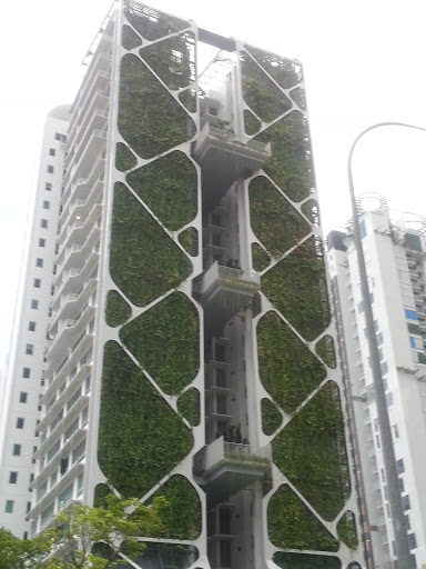 High Rise Plant