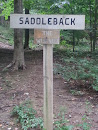 Saddleback Trail - The Westway