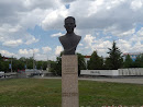 Памятник Шелухину / Monument Sheluhinu