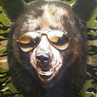 chesterbperry