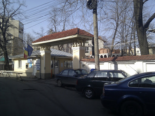 Cantacuzino Hospital Gate
