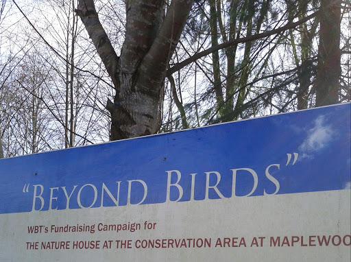 Beyond Birds the Nature House 