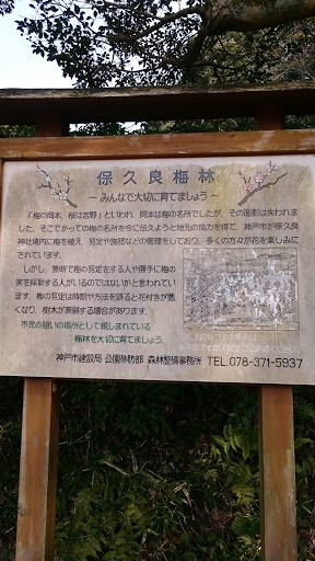 Mt. Hokura 梅林公園