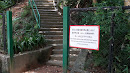 Yuen Chau Kok Park 2