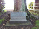 Feilding, WW I Peace Celebration Plaque/Tree