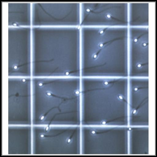 Biology Cell Tally Counter LOGO-APP點子