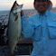 Lake Trout