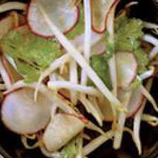 Bean Sprout-and-Red Radish Salad