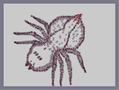Thumbnail of the map 'Arachnid'