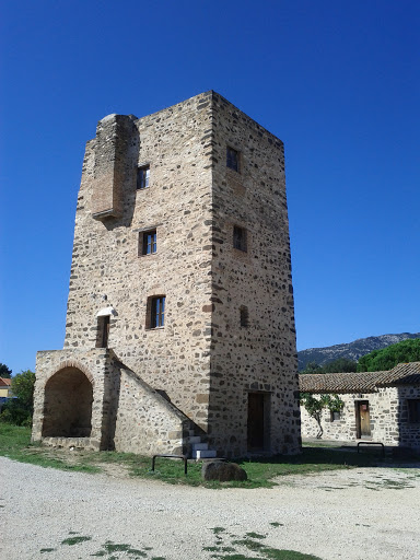Torre Pisana 