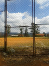 Campo De Futebol Macacos