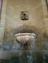 Gargoyle Fountain
