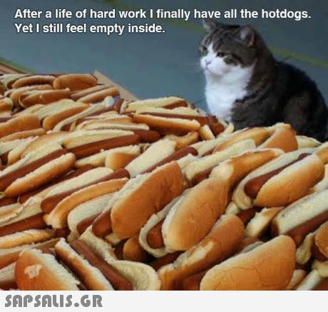 After a life of hard work I finally have all the hotdogs Yet I still feel empty inside 