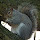 Invasive Species of the UK