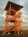 Bird Watch Tower