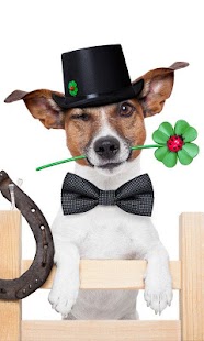 How to get Happy New Year Greetings 1.6 mod apk for laptop