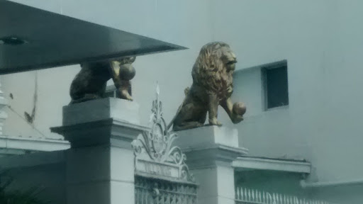 Leões Dourados