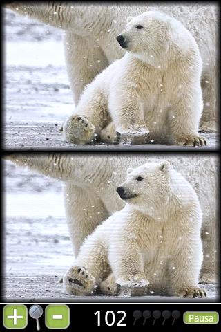 Cuccioli Paranoid Differences