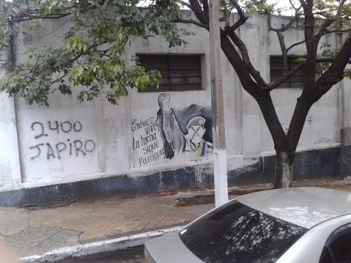Grafitti Del Pajarito