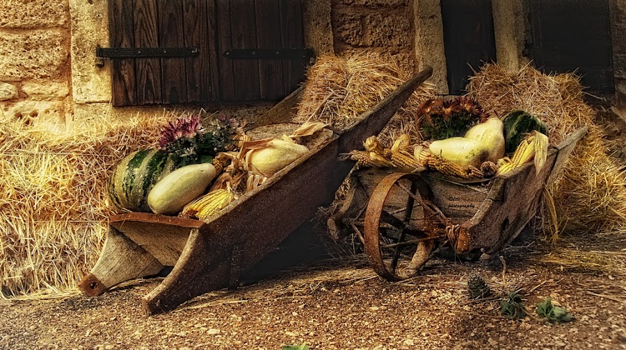by Lilian Liliy Lu - Artistic Objects Other Objects