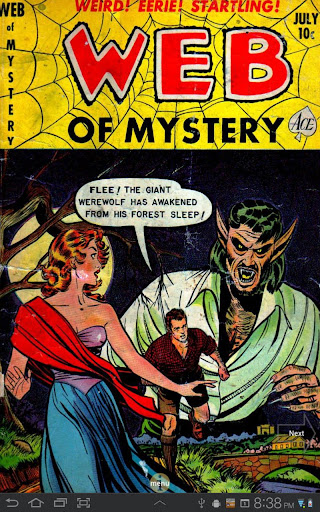 Web of Mystery 11