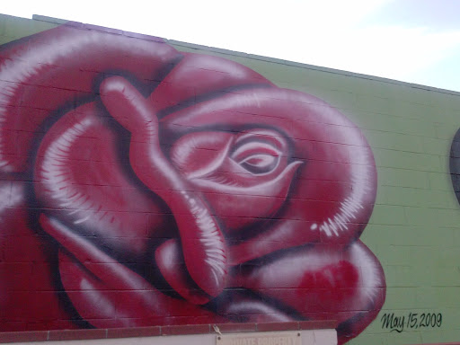 Red Rose Mural