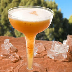 Nectarine-Amaretto Sour Recipe