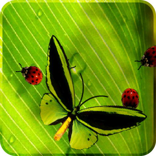 Friendly Bugs Live Wallpaper LOGO-APP點子