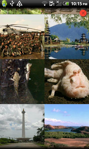 Country Facts Indonesia