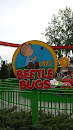 Linus' Beetle Bugs