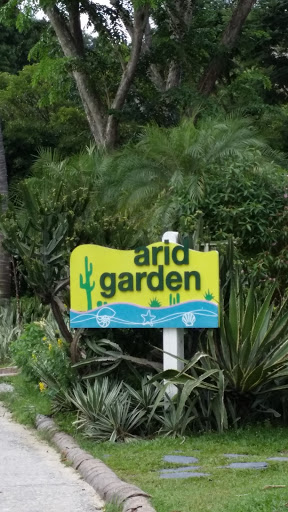 Arid Garden